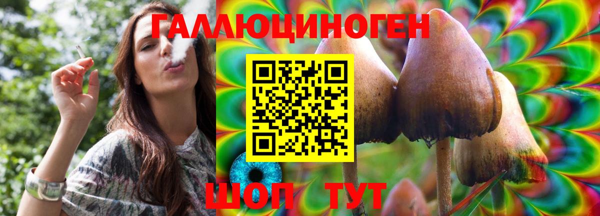 Королёв  Псилоцибиновые грибы Psilocybe  Вход с VPN 